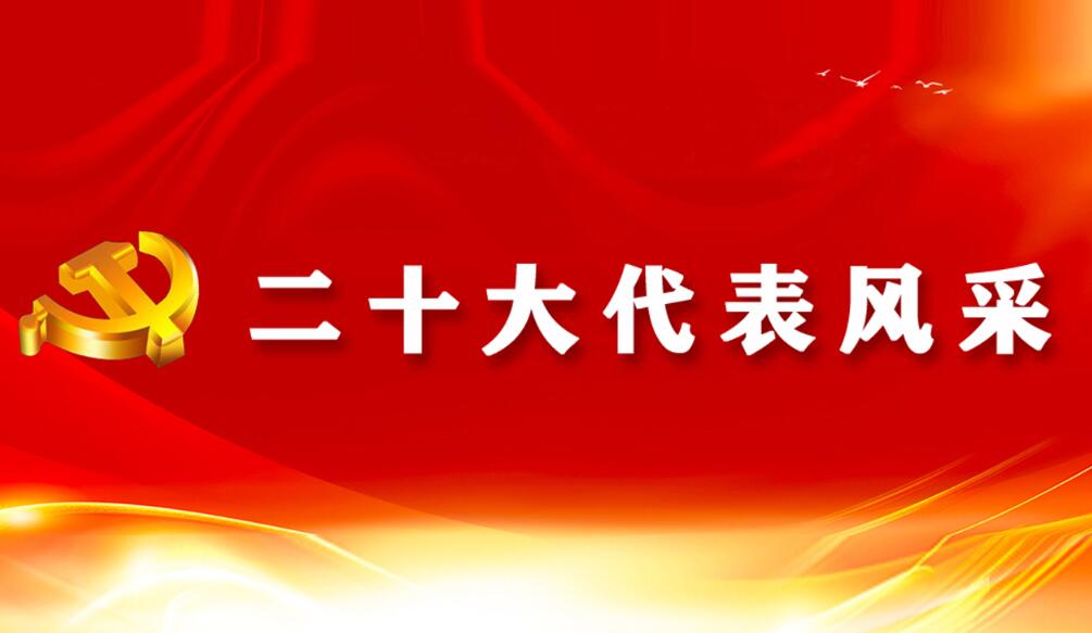 二十大代表風(fēng)采